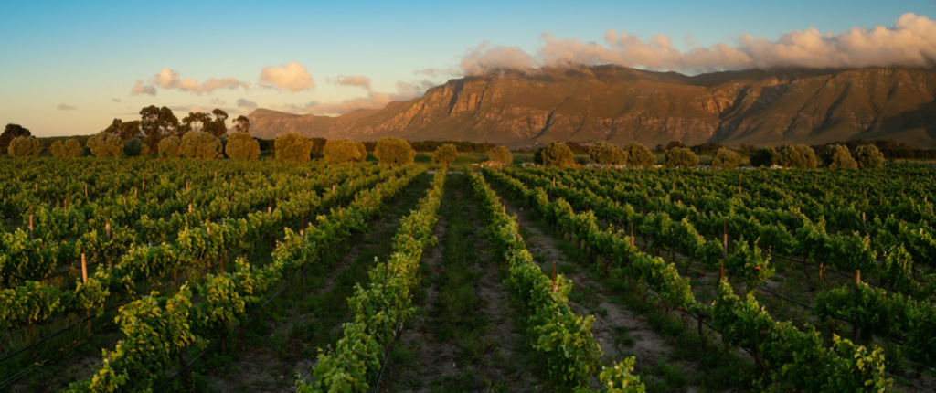 Springfontein Wine Estate