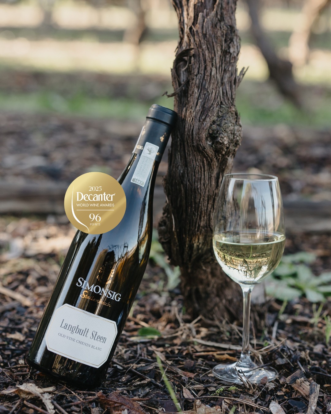 Simonsig Langbult Steen Announced as A Global Top Chenin in World's Most Influential Wine Competition