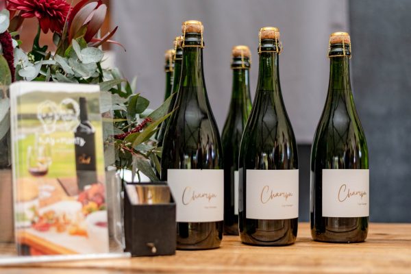 Plett Wine & Bubbly Festival DSC_3058 credit @boogsgaga
